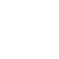 Icon1
