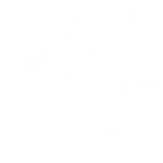 Icon2 (1)