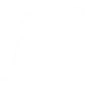 Icon2