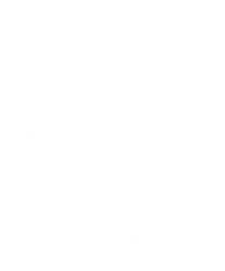 Icon5